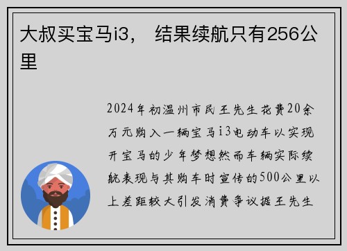 大叔买宝马i3， 结果续航只有256公里