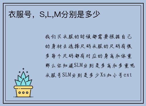 衣服号，S,L,M分别是多少