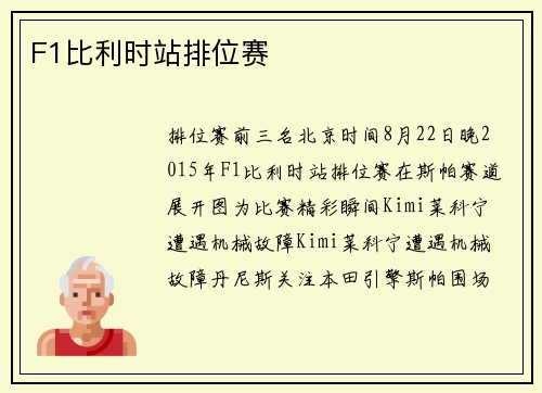F1比利时站排位赛